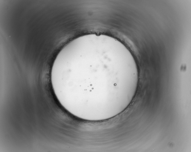 X0000103280017200809191816