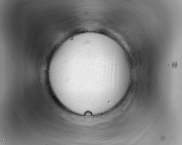 X0000103280018200809191816