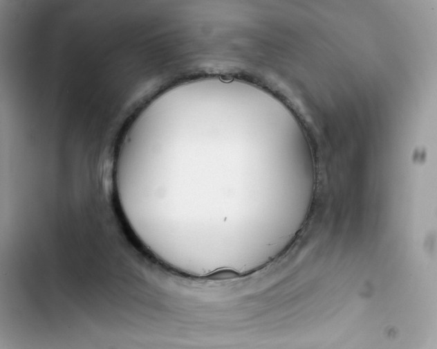 X0000103280019200809191816