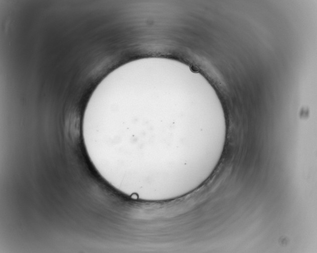 X0000103280021200809191816