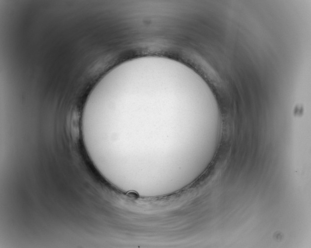 X0000103280022200809191816