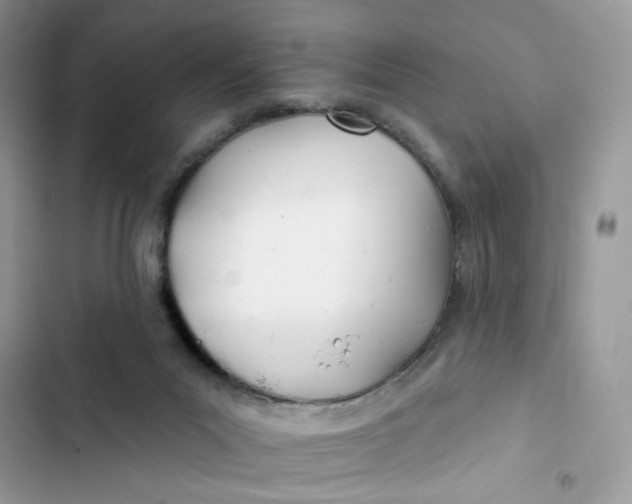 X0000103280023200809191816