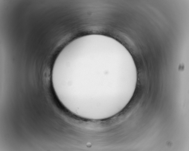 X0000103280024200809191816