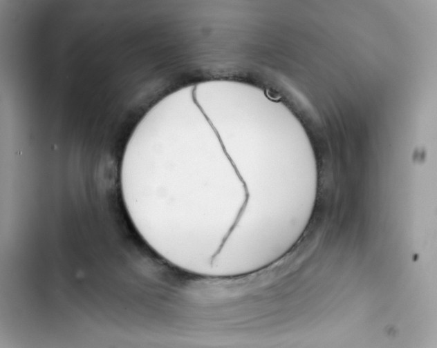 X0000103280025200809191816