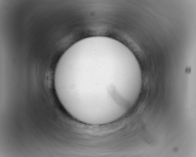 X0000103280026200809191816