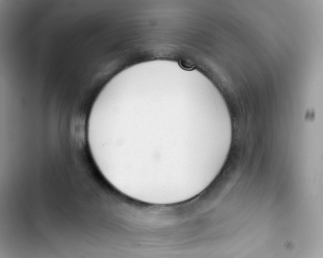 X0000103280028200809191816