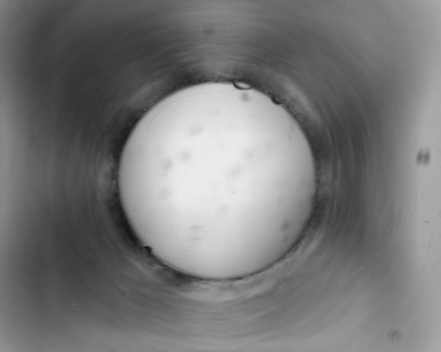 X0000103280029200809191816