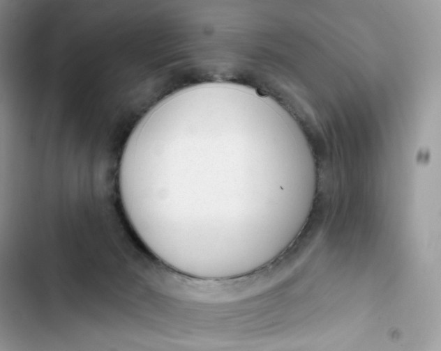 X0000103280030200809191816