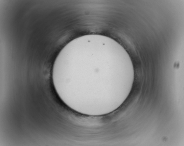 X0000103280032200809191816