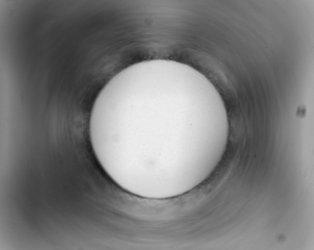 X0000103280034200809191816