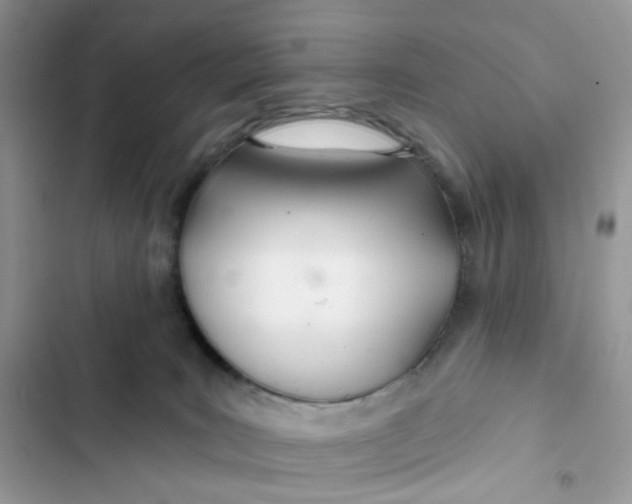 X0000103280035200809191816