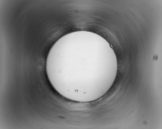 X0000103280036200809191816