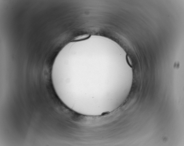 X0000103280037200809191816