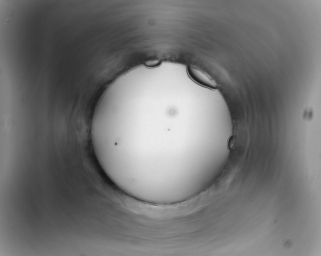 X0000103280039200809191816