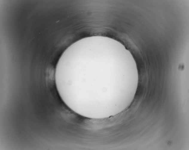 X0000103280041200809191816