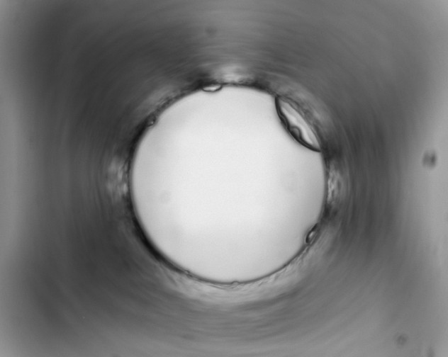 X0000103280043200809191816