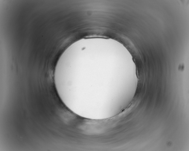 X0000103280045200809191816