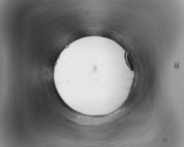 X0000103280048200809191816