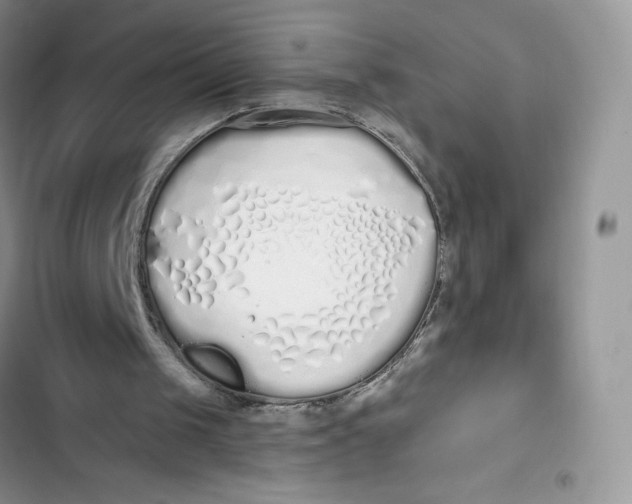 X0000103280049200809191815