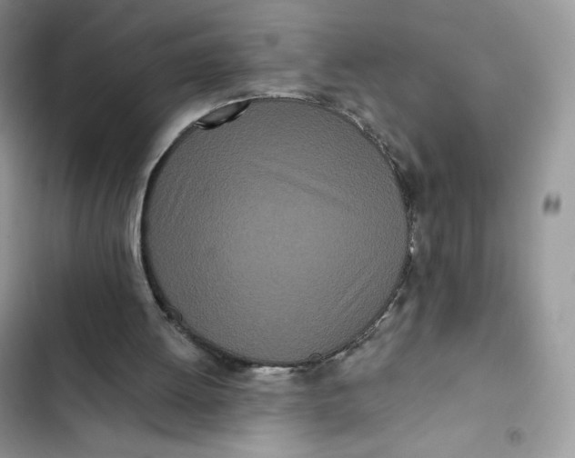 X0000103280052200809191815