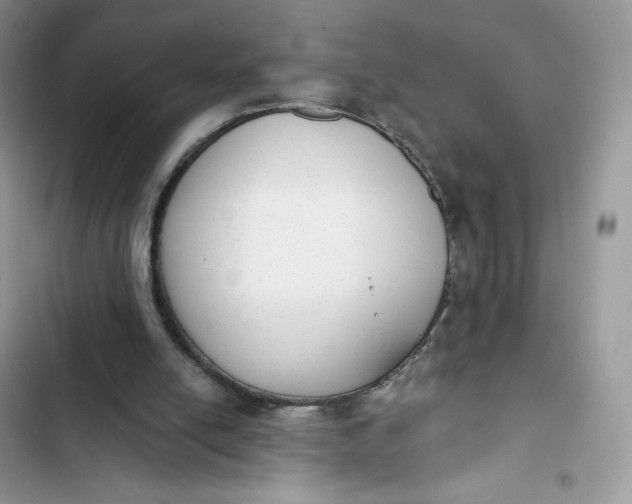 X0000103280054200809191815