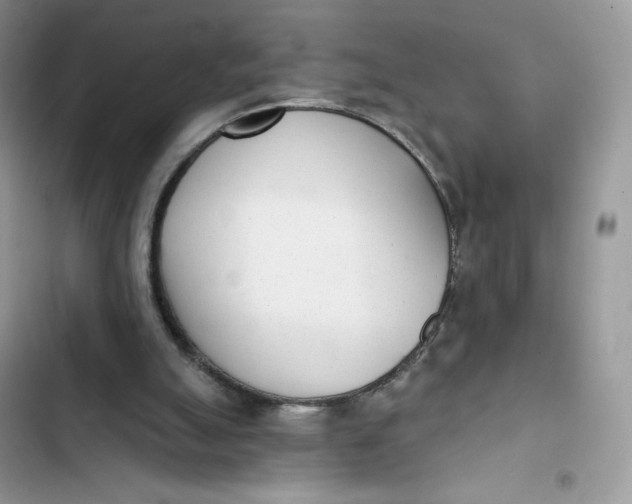 X0000103280055200809191815