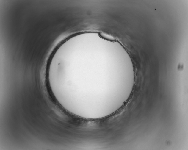 X0000103280056200809191815