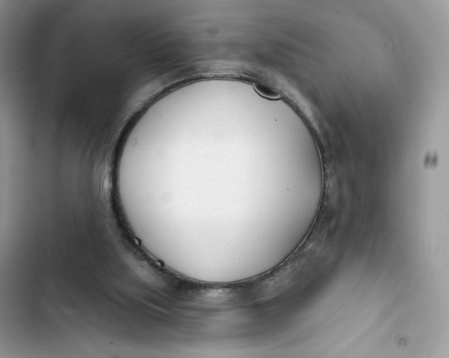 X0000103280059200809191815