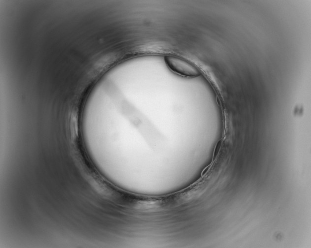 X0000103280061200809191816