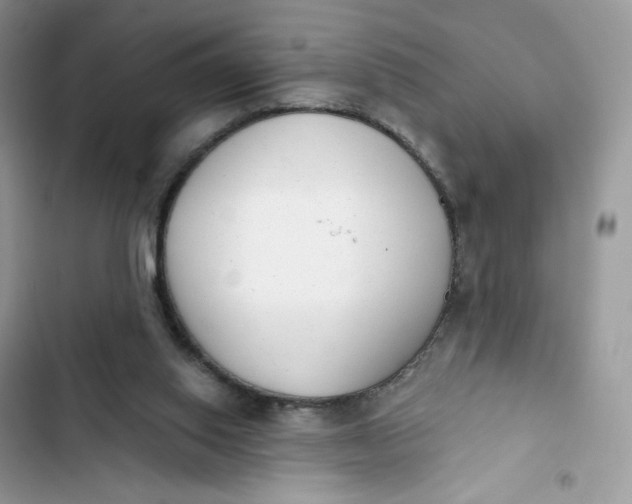 X0000103280062200809191816