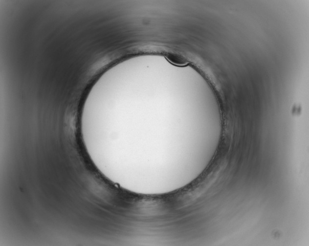 X0000103280063200809191816