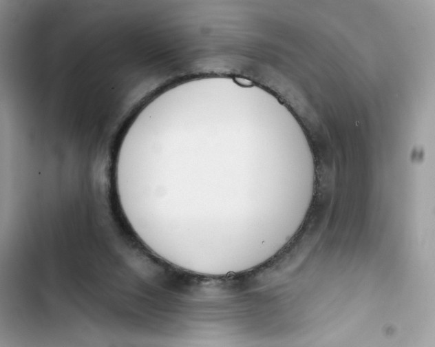 X0000103280064200809191816