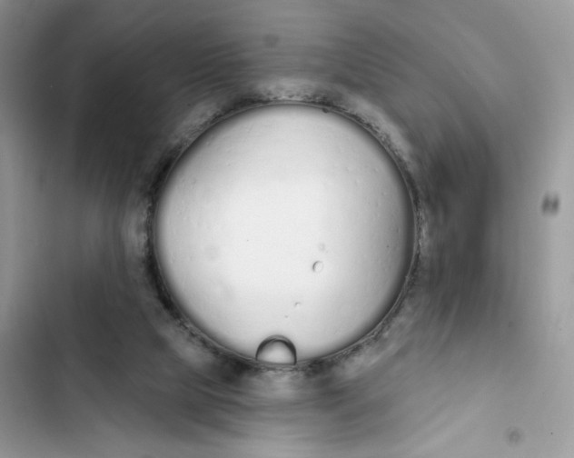 X0000103280065200809191816