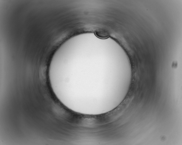 X0000103280066200809191816