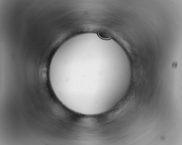 X0000103280067200809191816