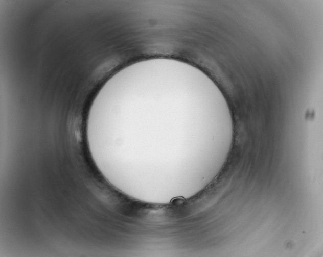 X0000103280068200809191816