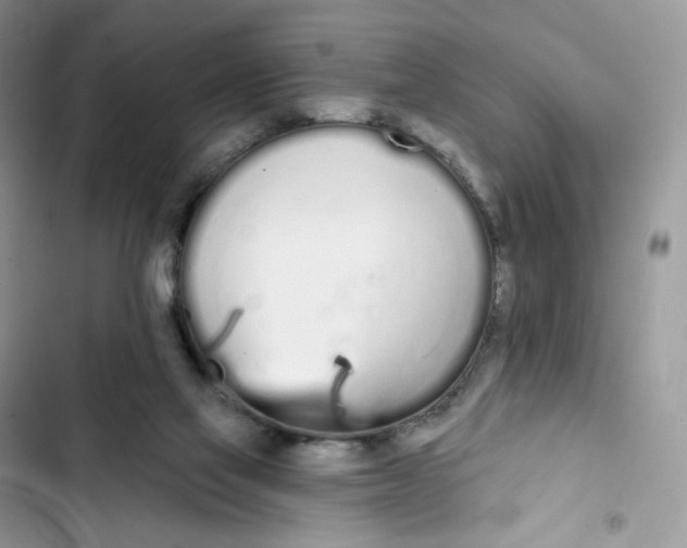 X0000103280069200809191816