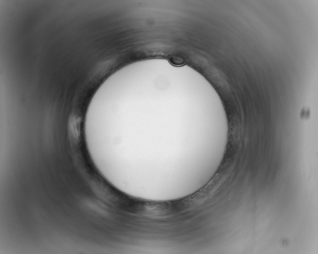 X0000103280070200809191816