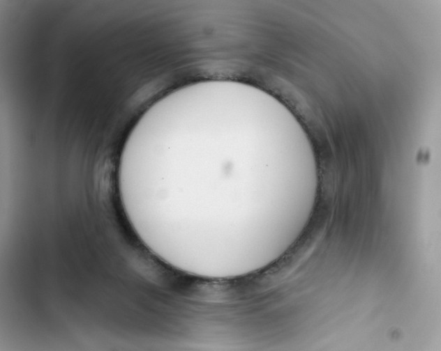 X0000103280071200809191816