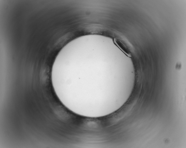 X0000103280073200809191816