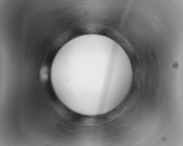 X0000103280075200809191816