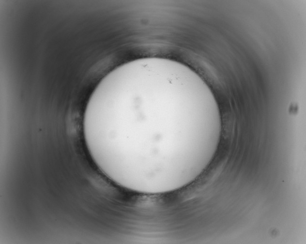 X0000103280077200809191816