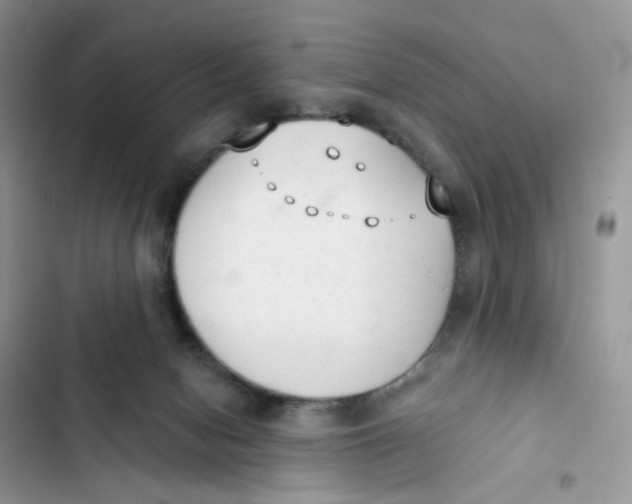 X0000103280078200809191816