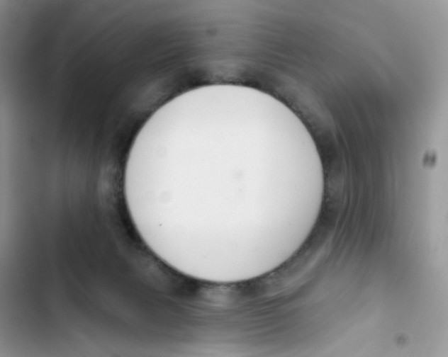 X0000103280079200809191816