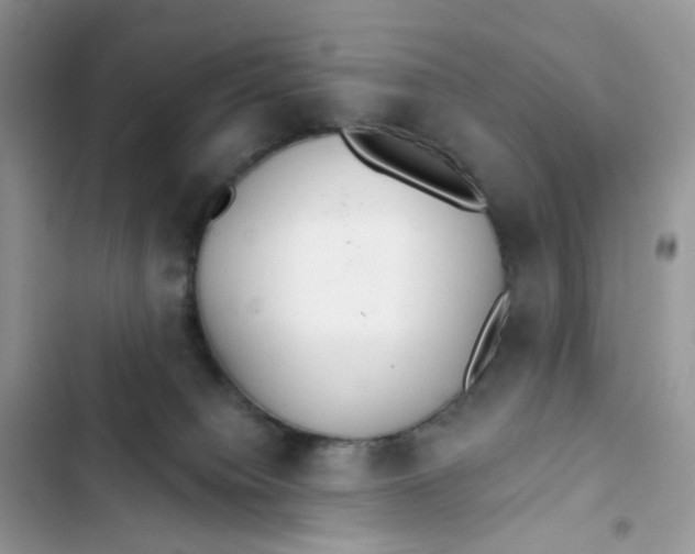 X0000103280084200809191816