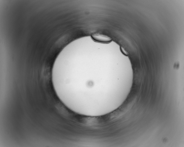 X0000103280085200809191816