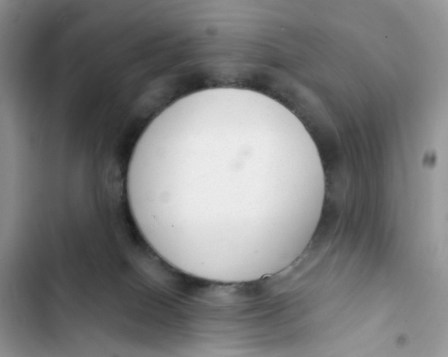 X0000103280086200809191816