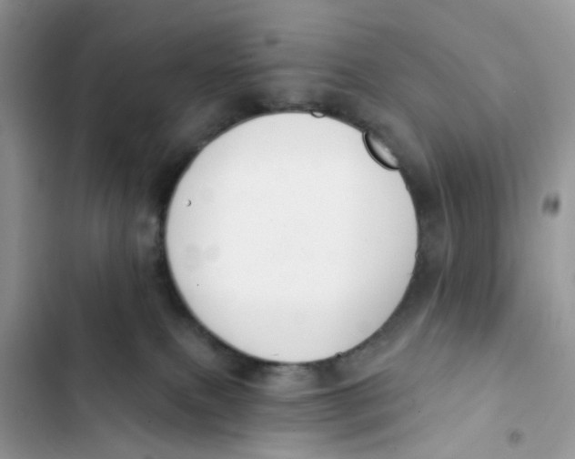 X0000103280087200809191816