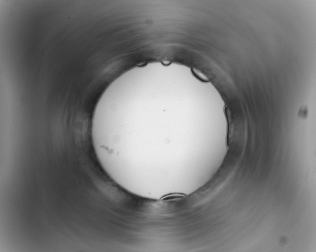 X0000103280092200809191816