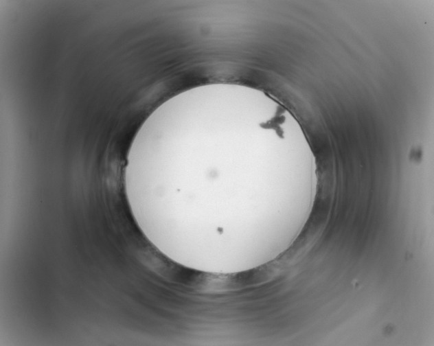 X0000103280093200809191816